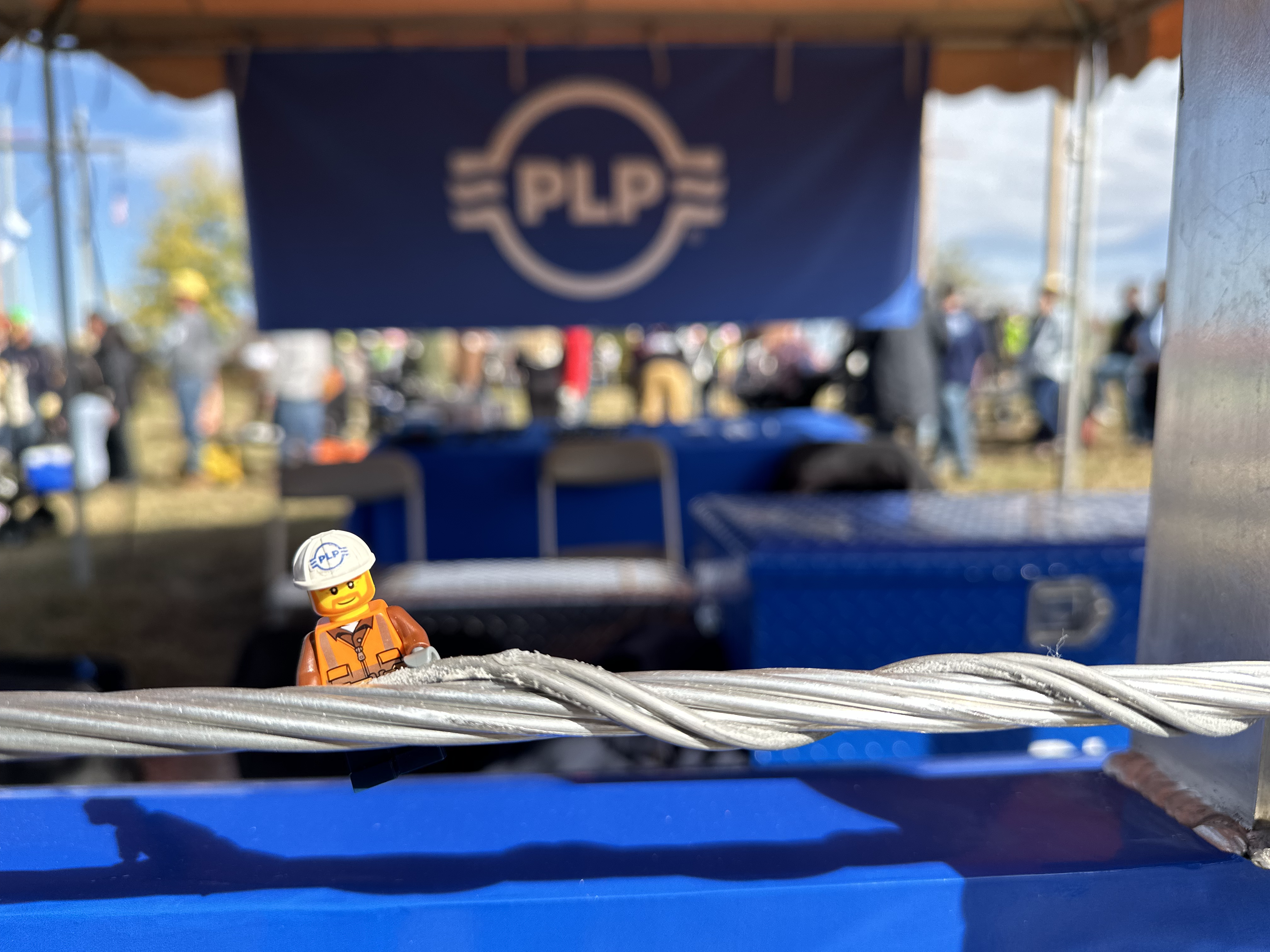 PLP LOGO