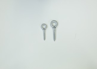 Eye-Lag Screw